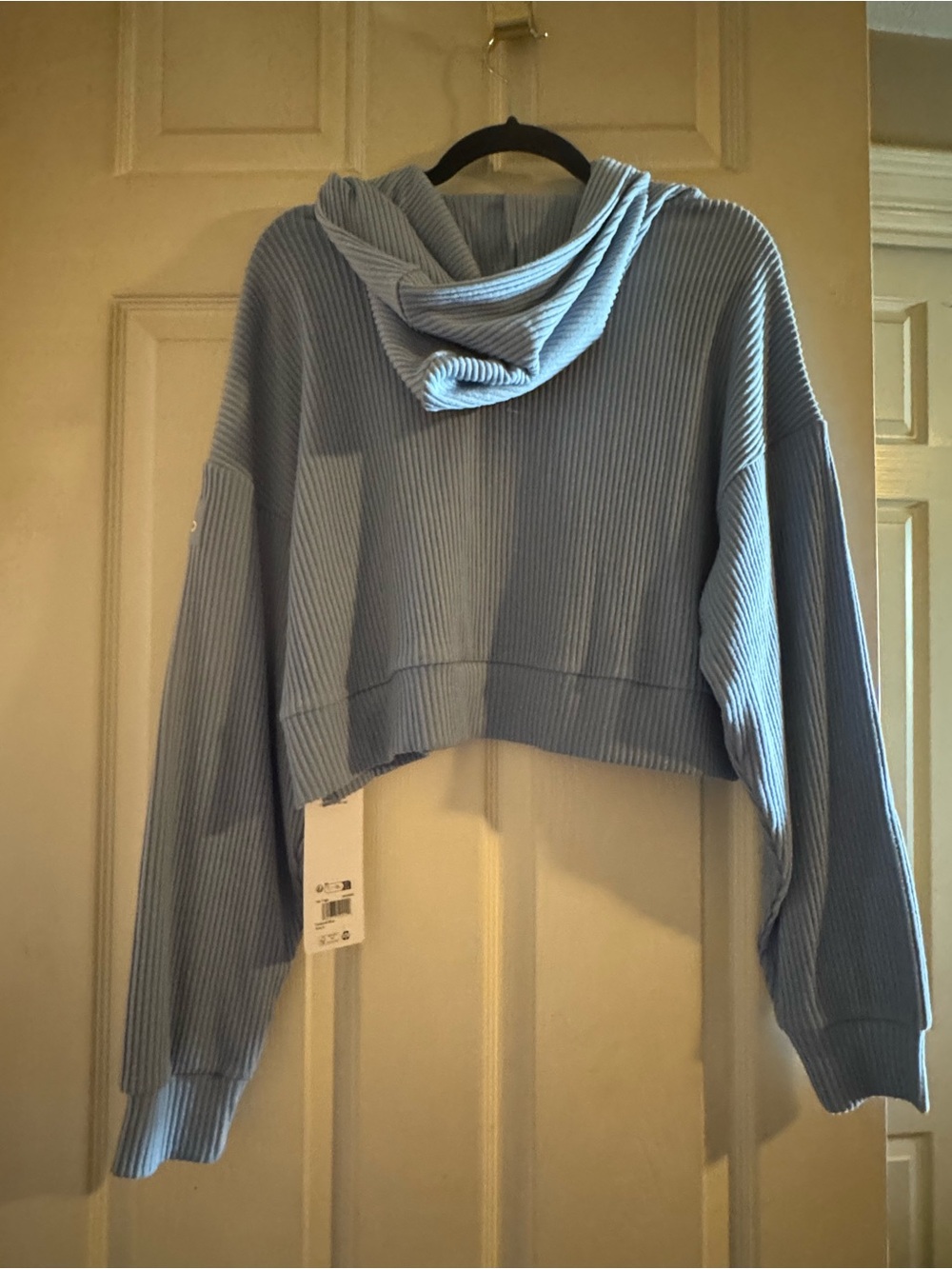 ALO Yoga Ribbed Cropped Muse Hoodie in Light Blue (Celestial Blue) - Picture 5 of 6